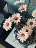 Chrysant tak