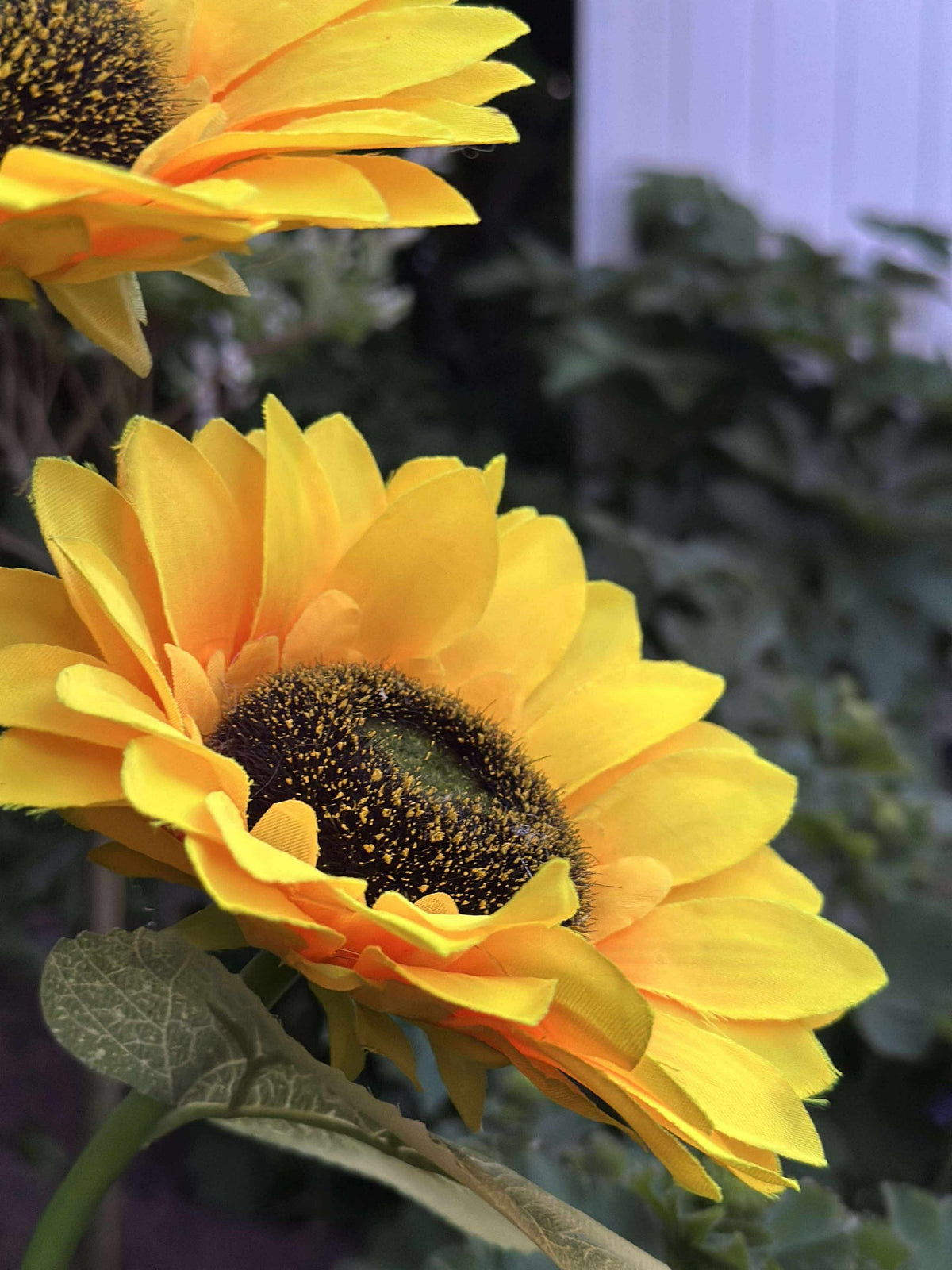 Zonnebloem op zonne-energie