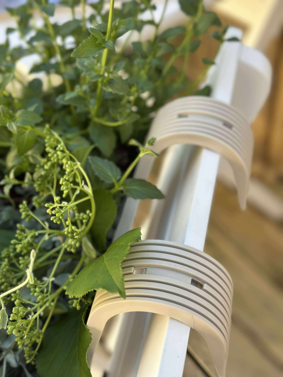 Plantenbak met ophangsysteem – Crème