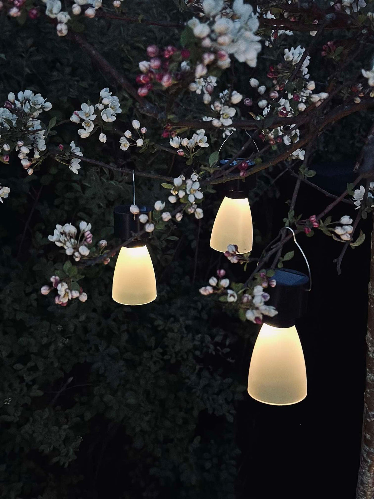 Mini lamp op zonne-energie