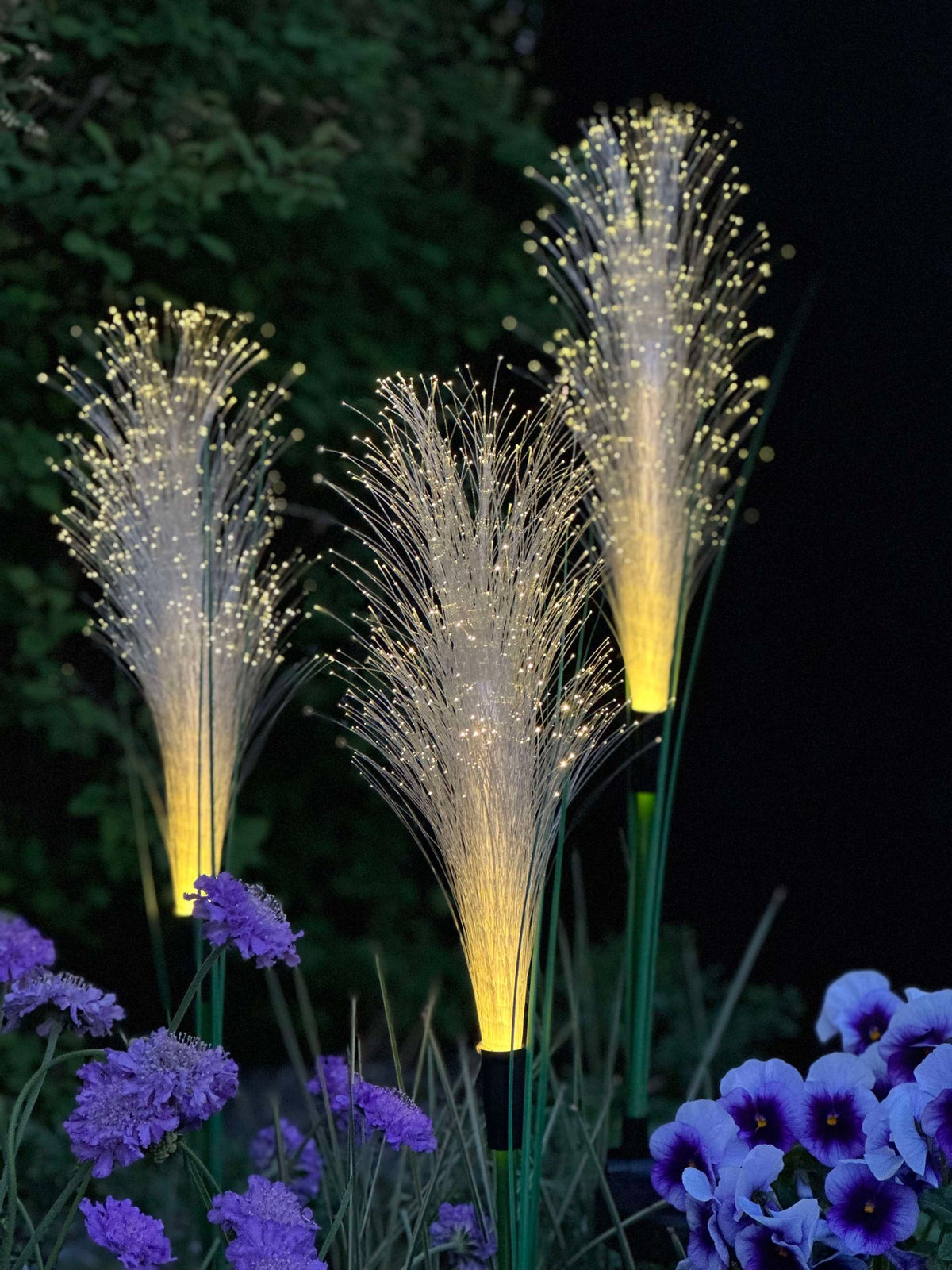 Pampas met zonnecellen