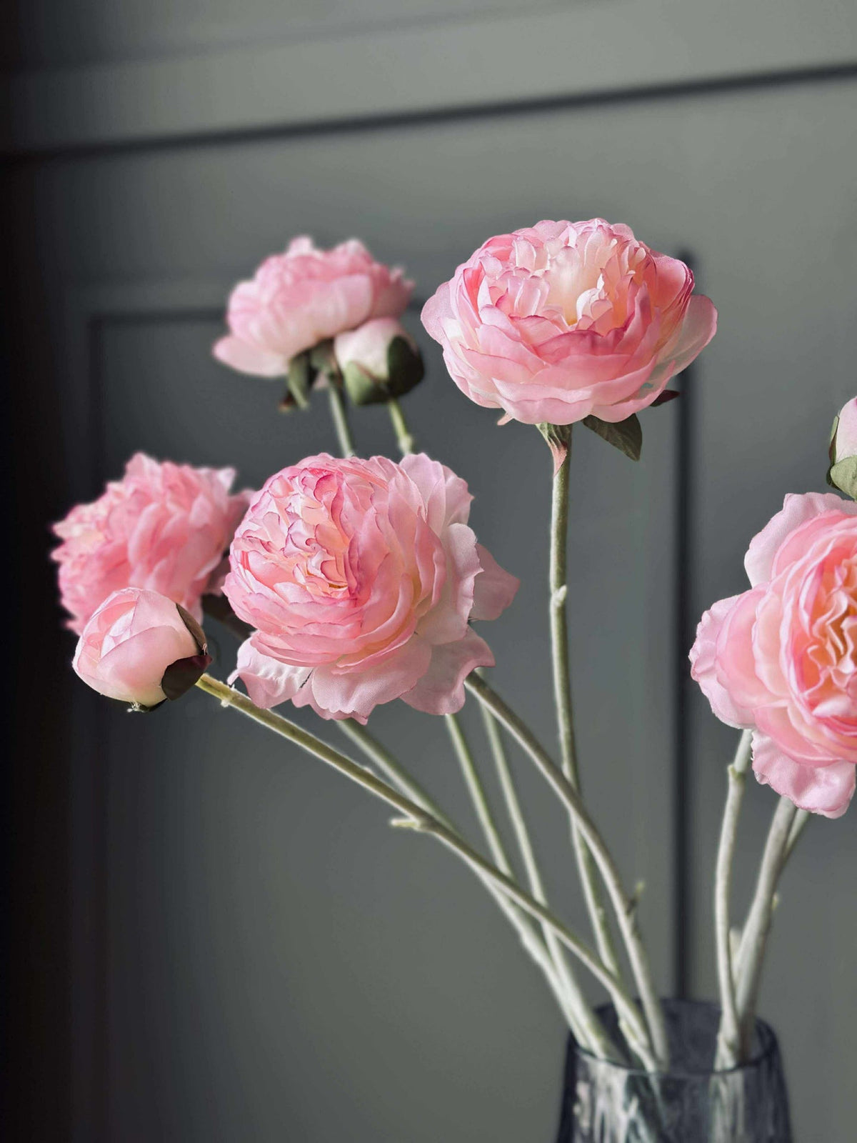 Ranonkelstengel - Roze