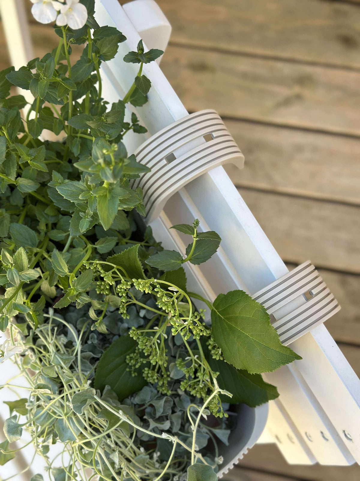 Plantenbak met ophangsysteem – Crème