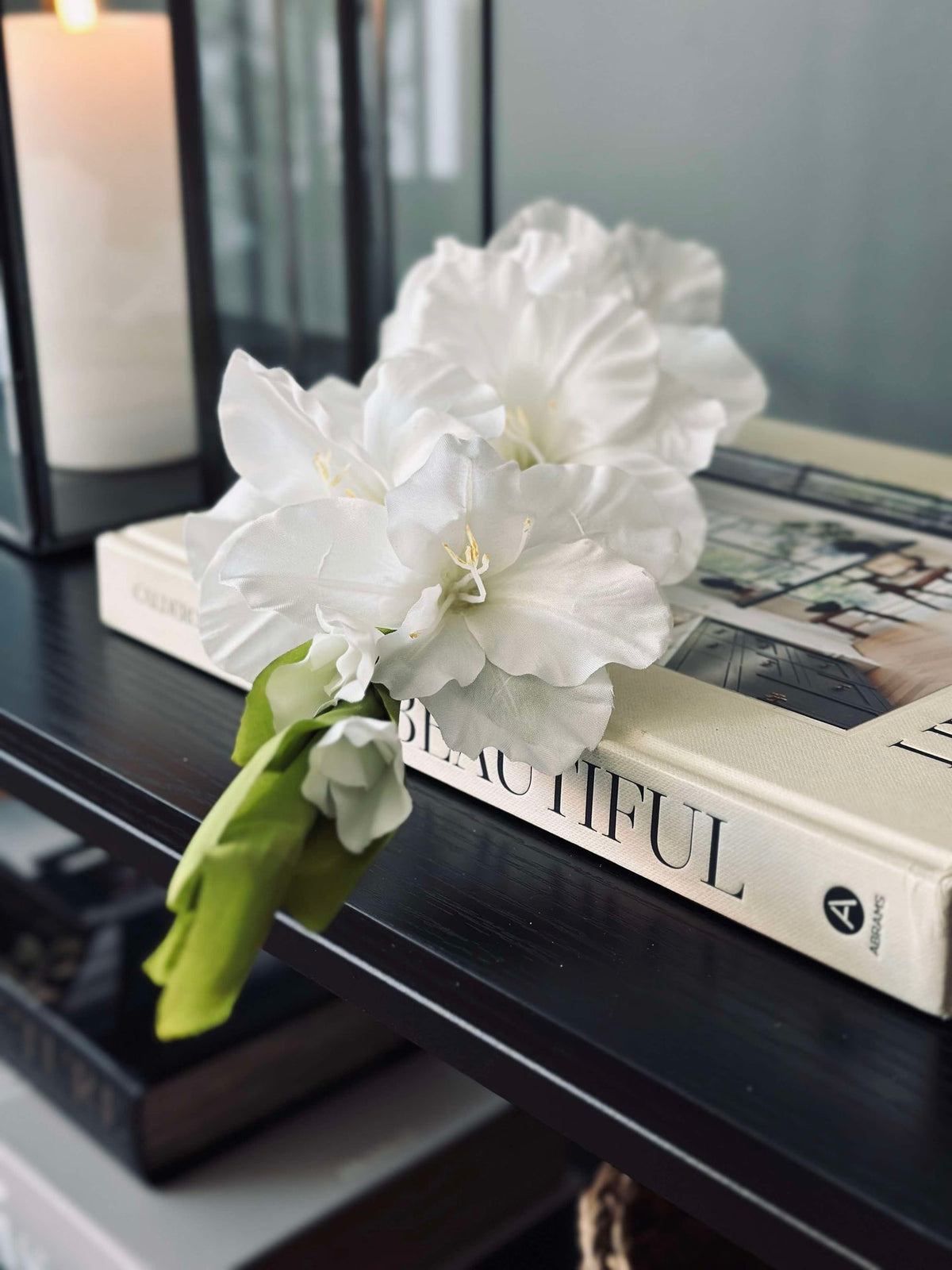 Gladiolus steel