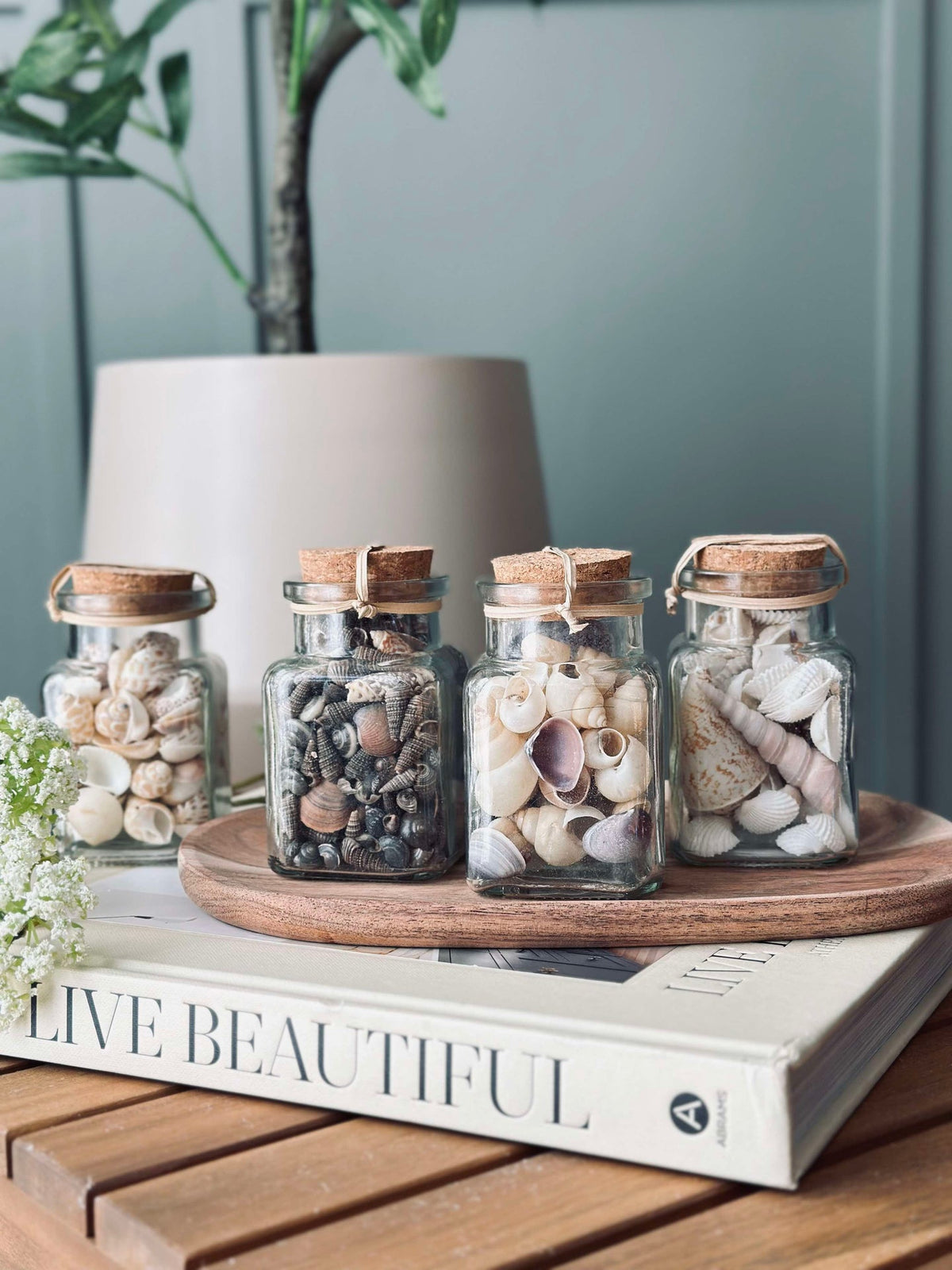 Strandschelpen van glas - Mix