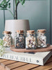 Strandschelpen van glas - Mix