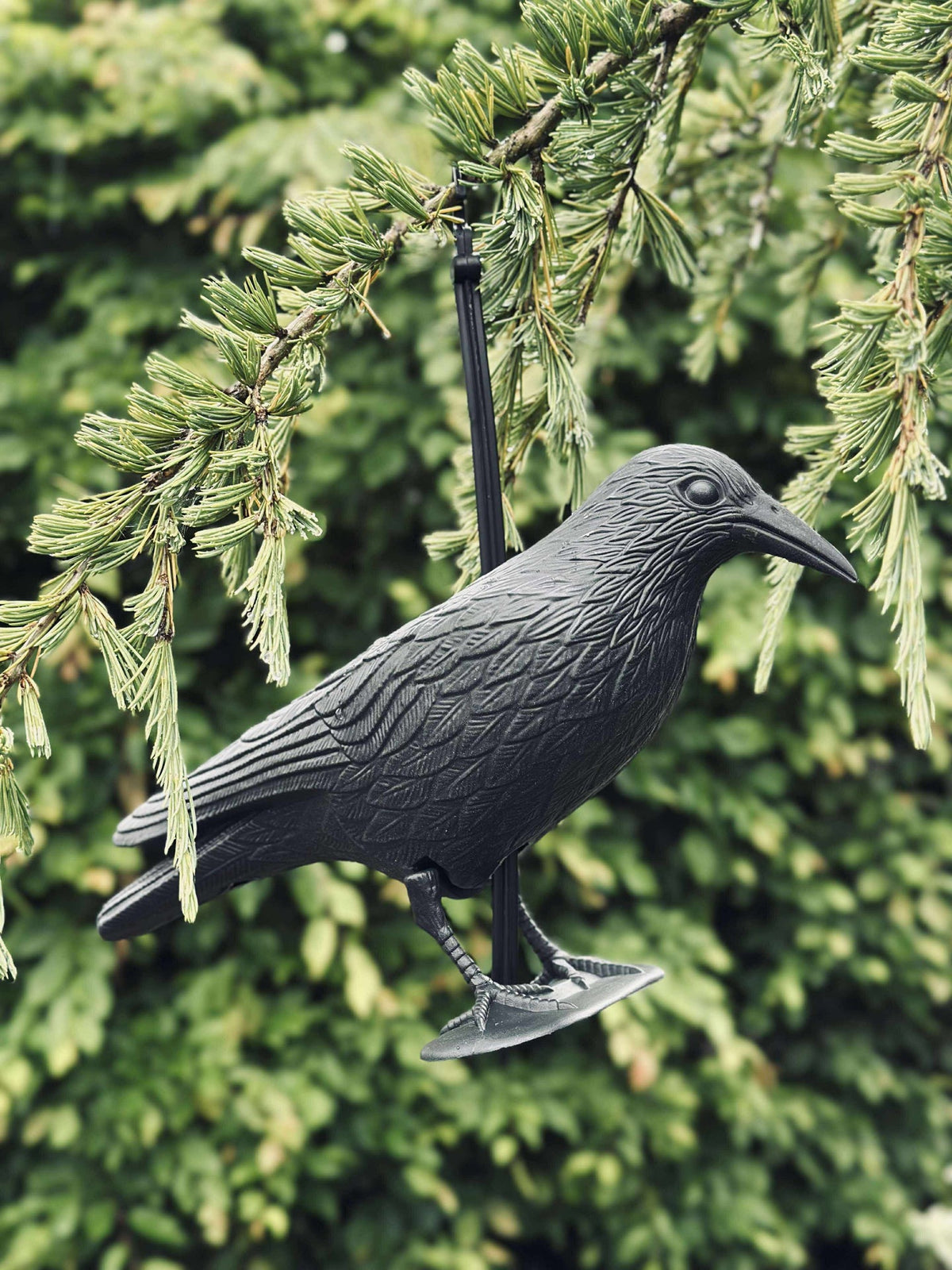 Vogel van zwarte kunststof