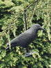 Vogel van zwarte kunststof