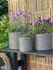 Plantenmand Grijs - Set van 3 stuks