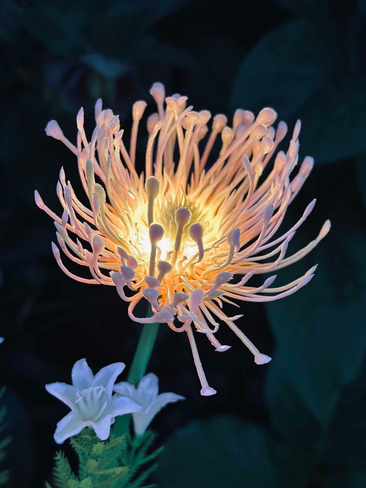 Bloem met zonnecellen - Spider Lili rose