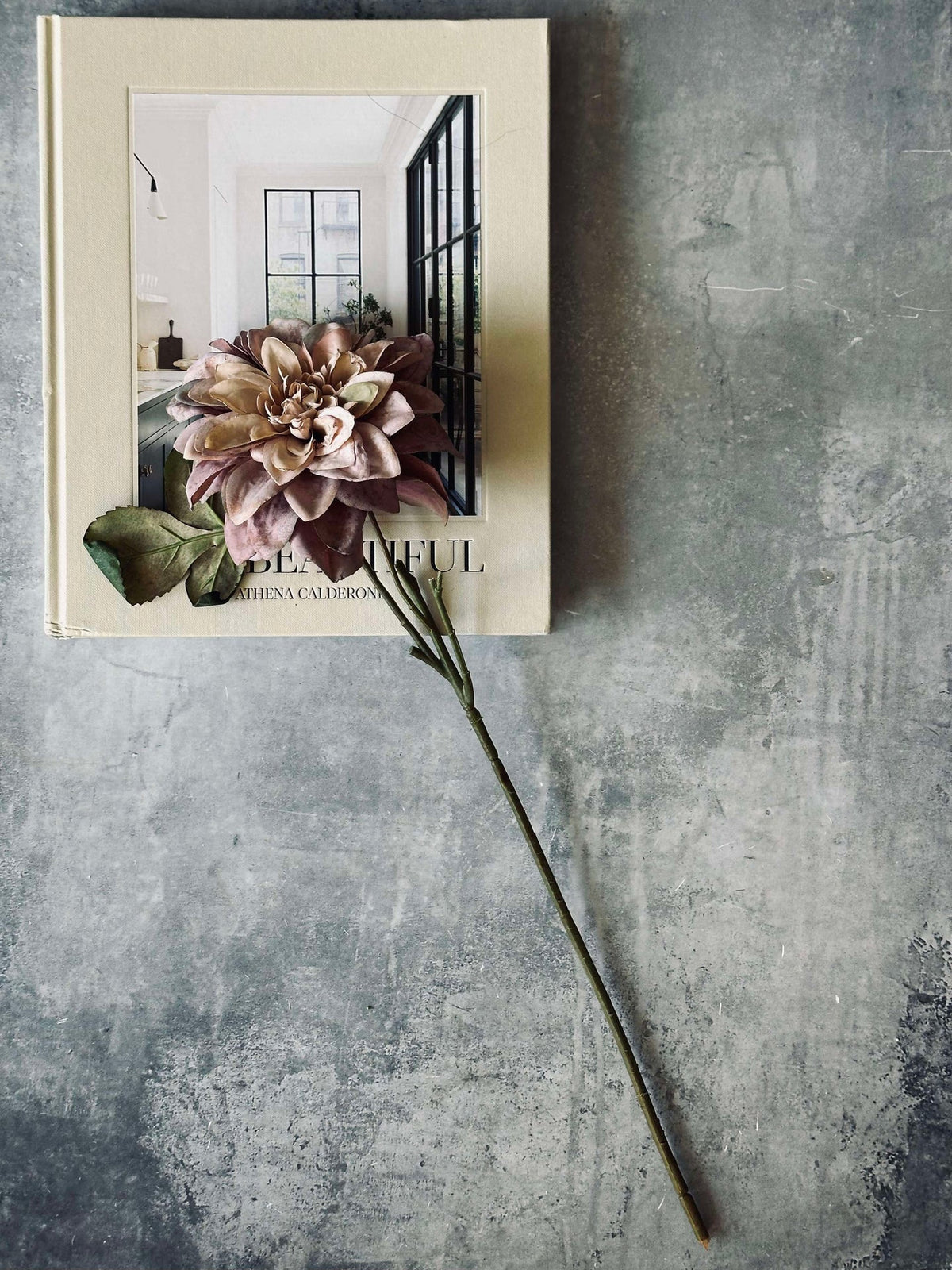 Dahlia-stengel