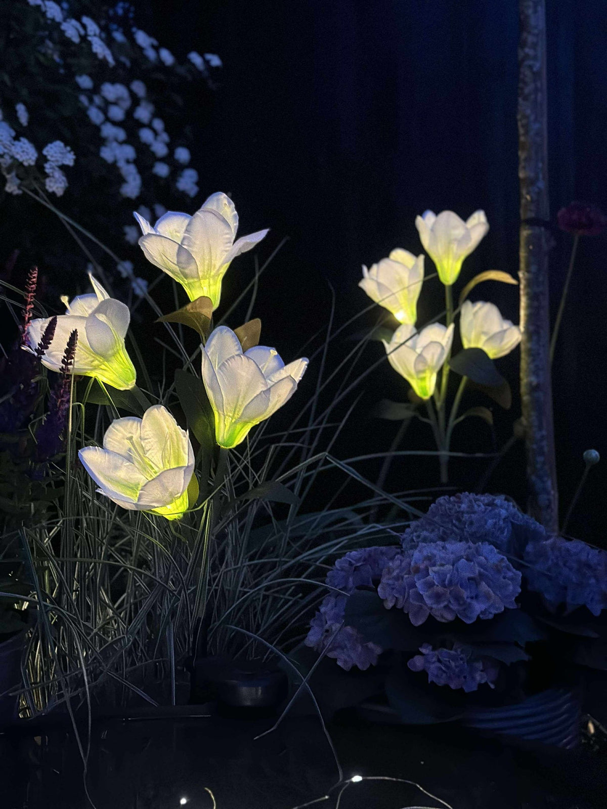 Magnolia met zonnepanelen - Wit