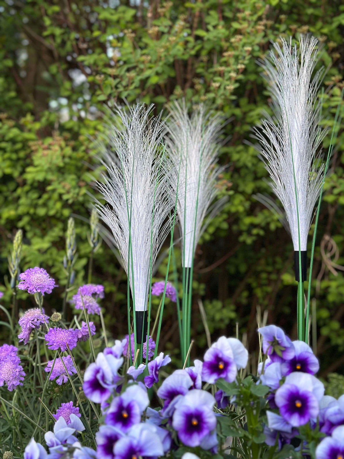 Pampas met zonnecellen