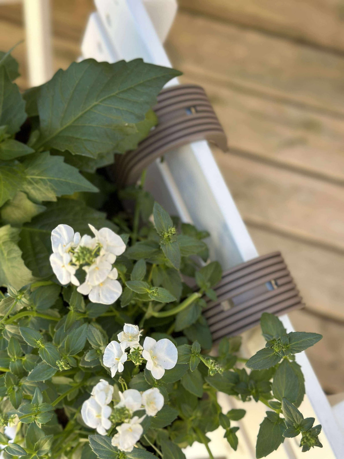 Plantenbak met ophanging - Beige