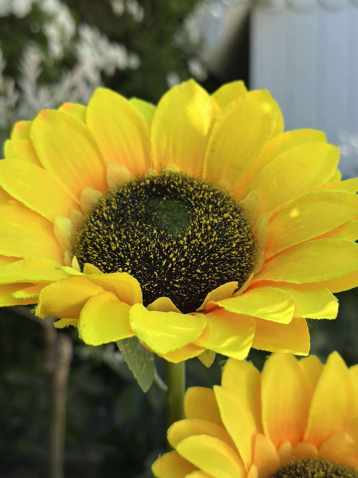 Zonnebloem op zonne-energie