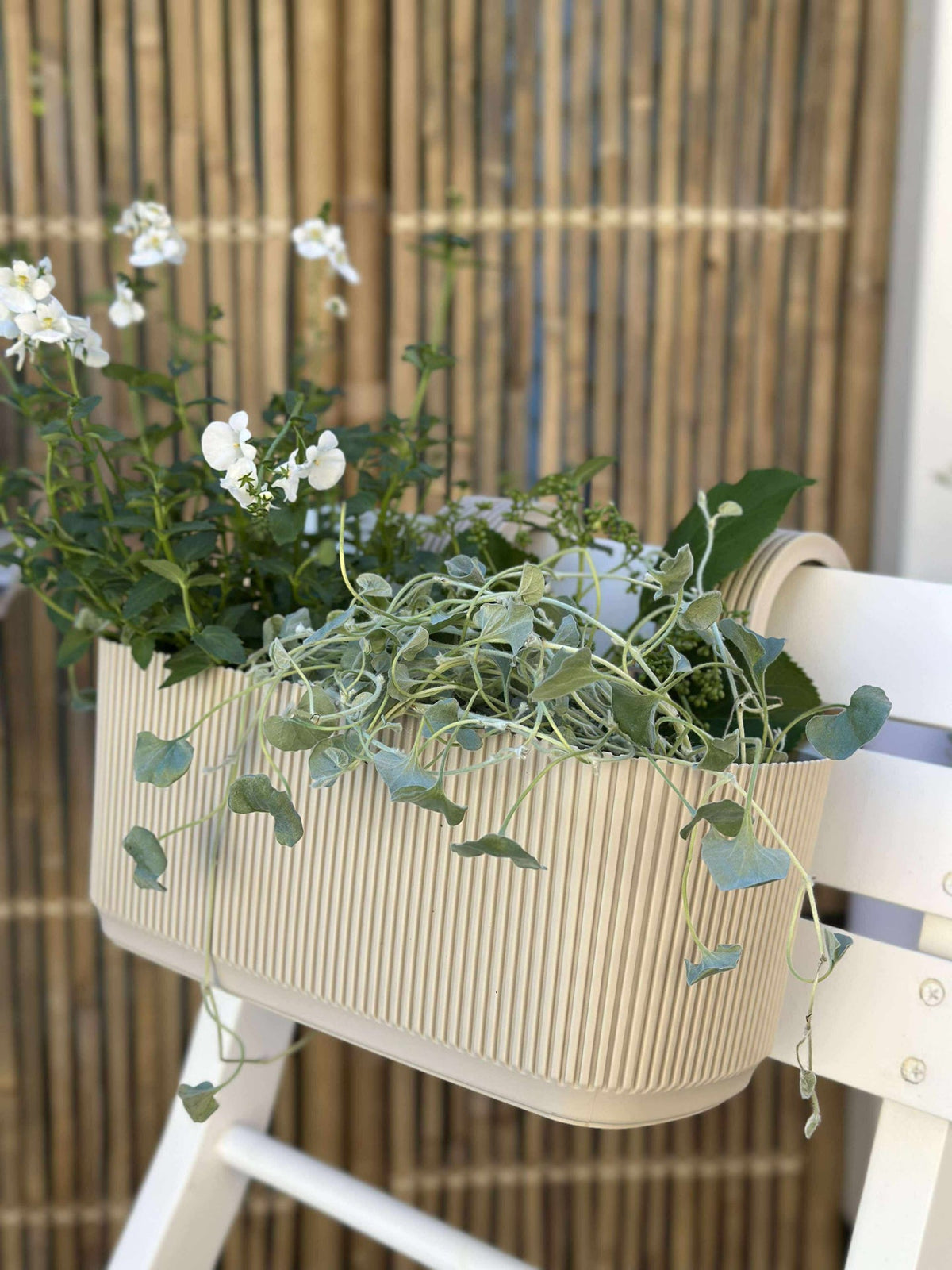 Plantenbak met ophangsysteem – Crème