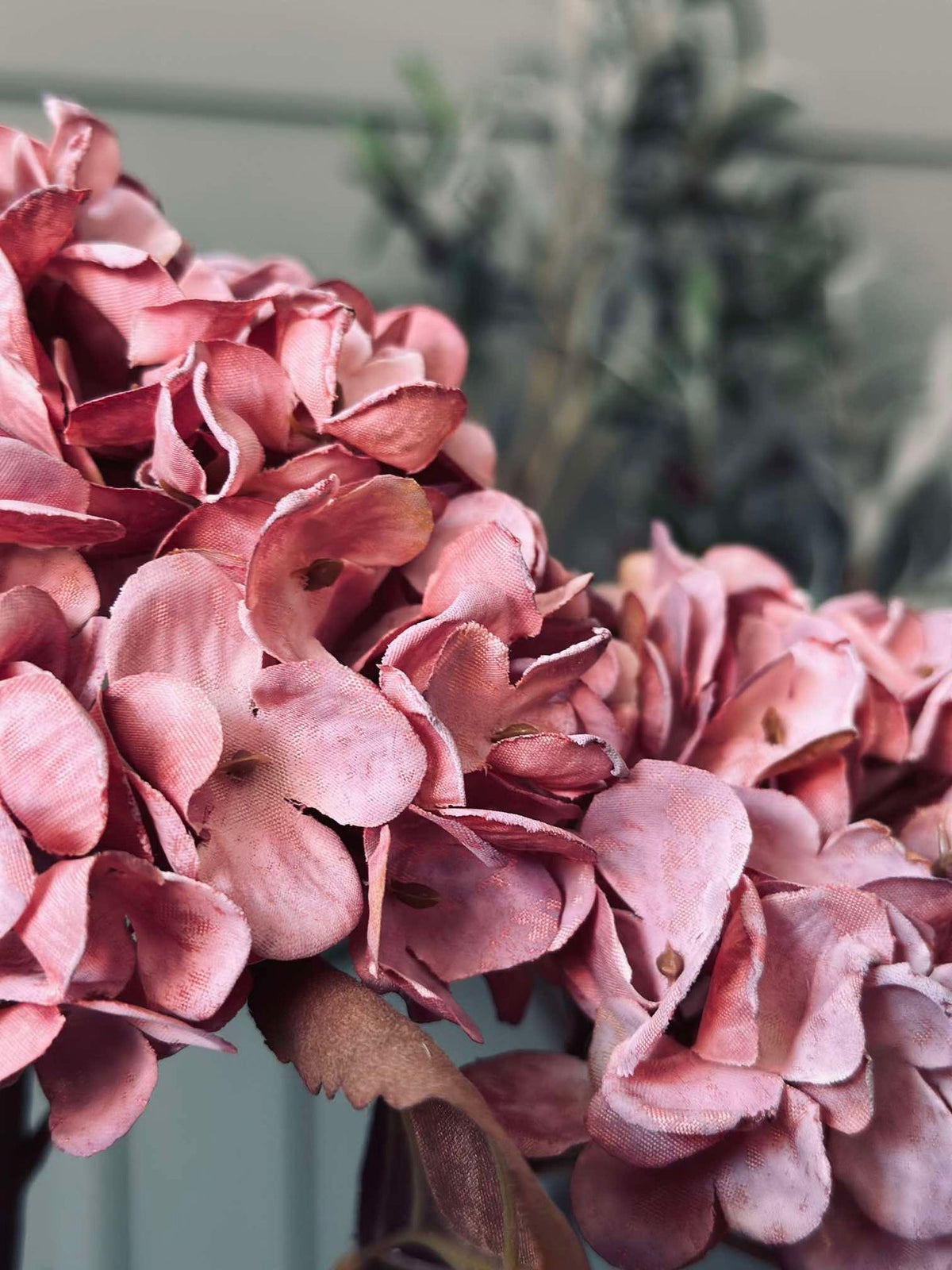 Hortensia steel