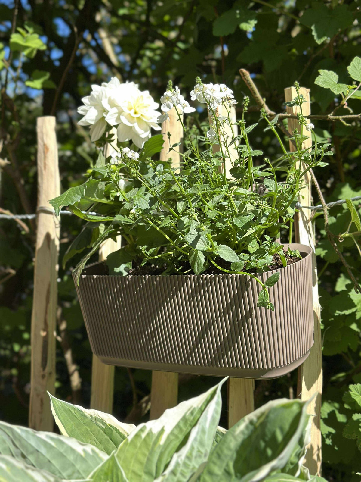 Plantenbak met ophanging - Beige