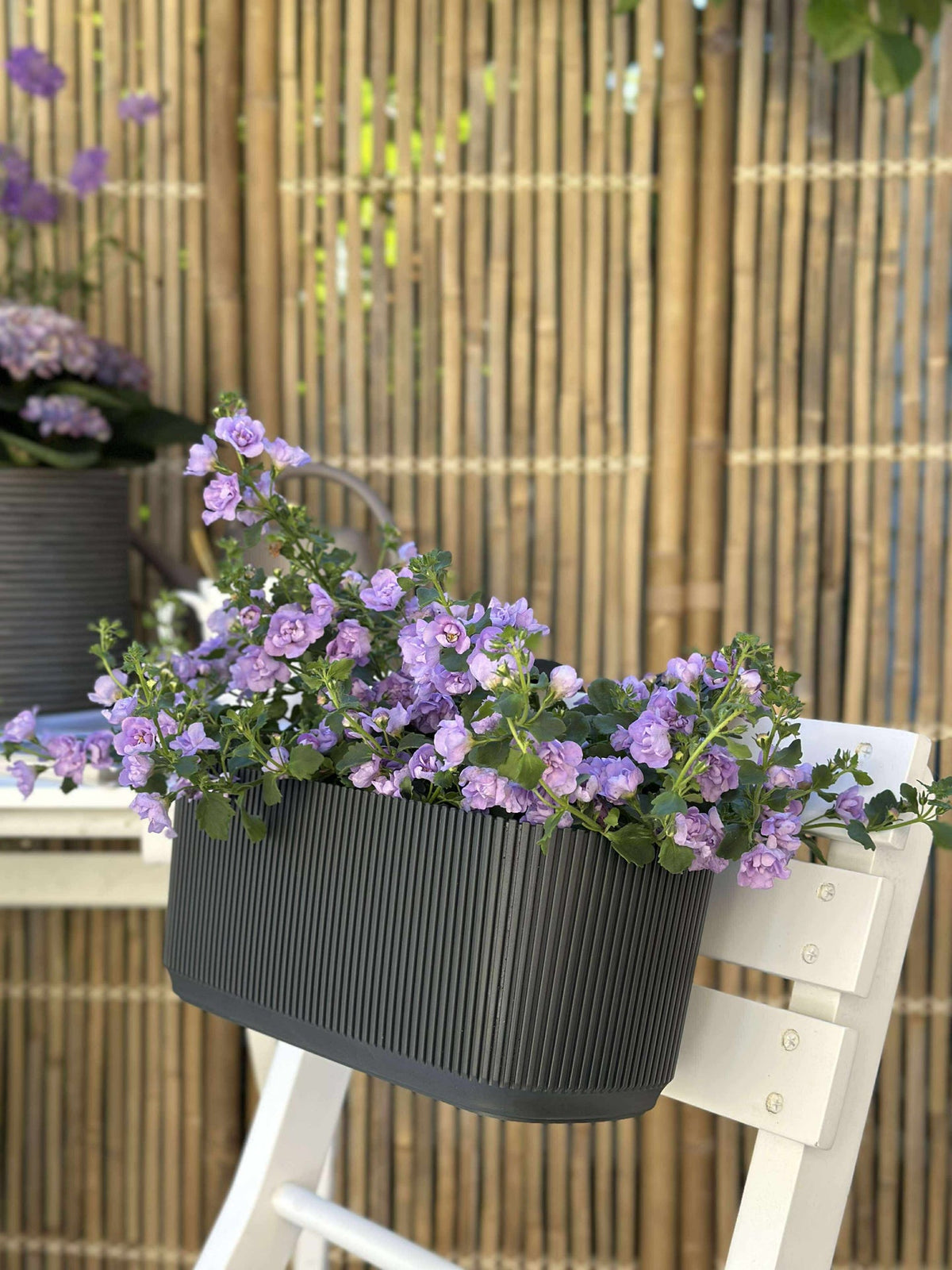 Plantenbak met ophanging - Antraciet