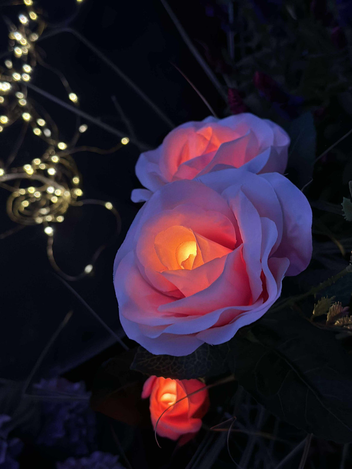Roos met zonnepanelen - Roze