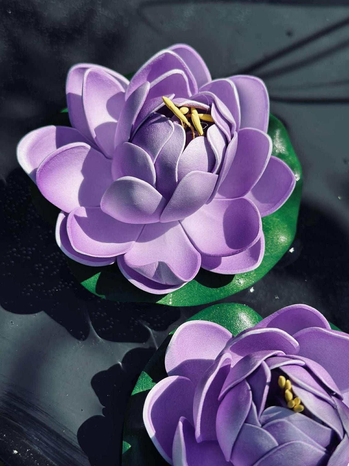 Lotus - Meerdere kleuren