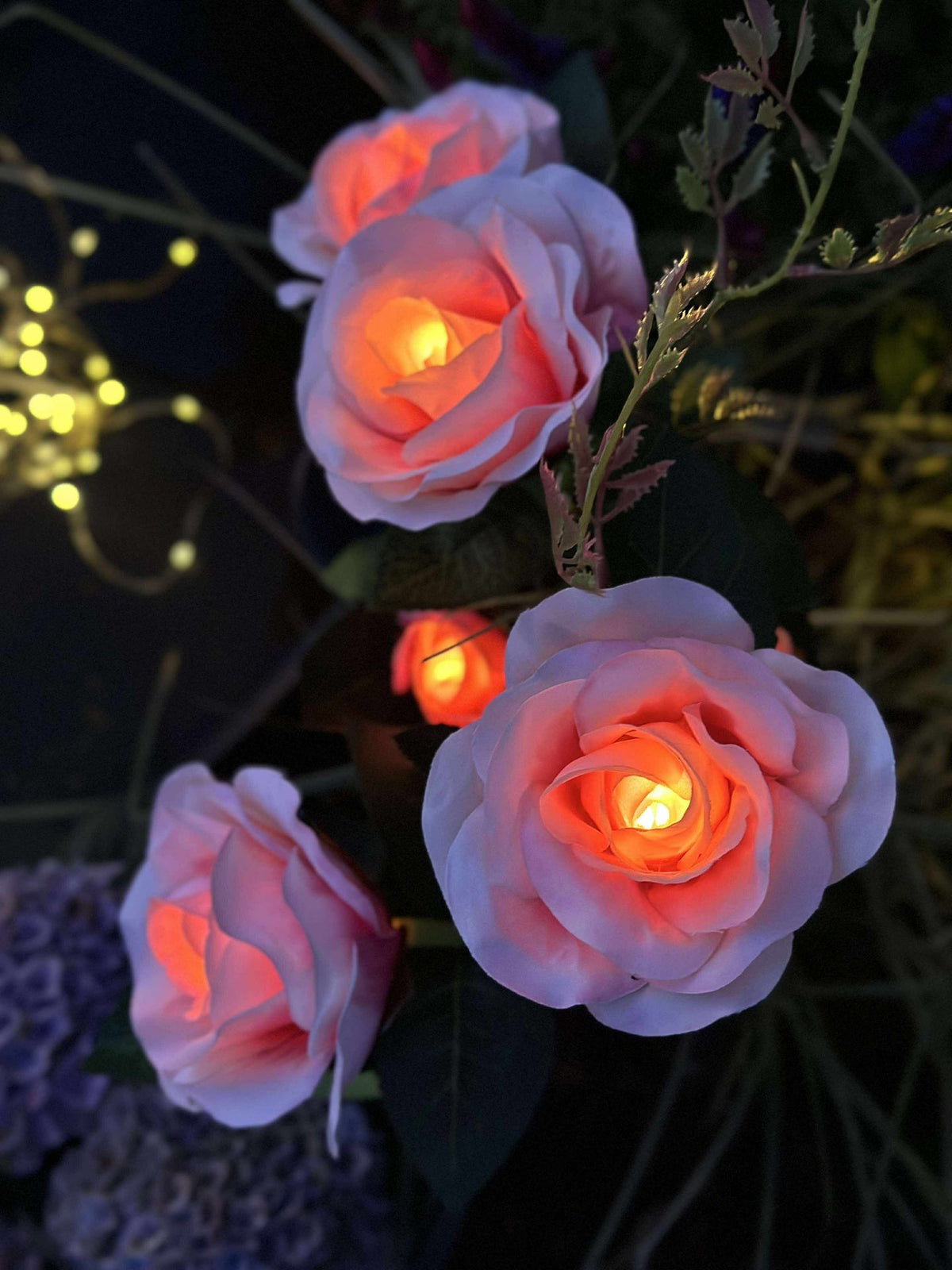 Roos met zonnepanelen - Roze