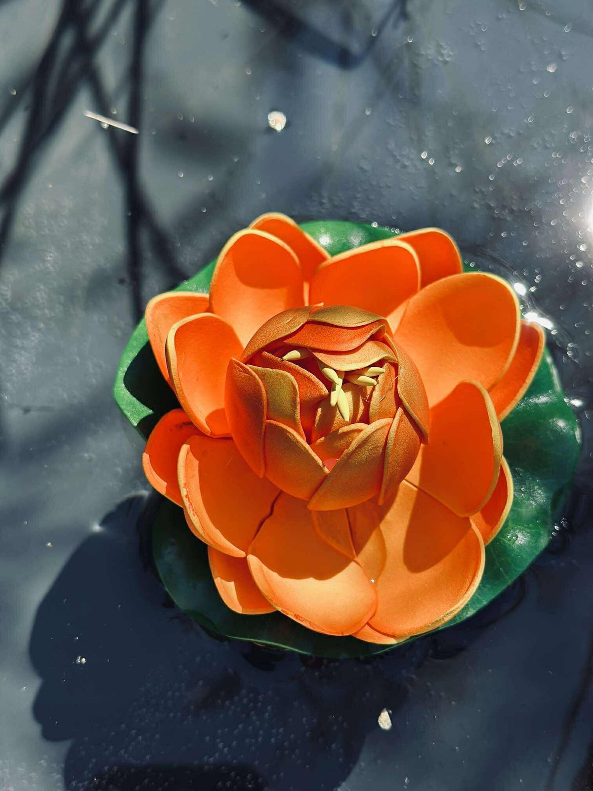 Lotus - Meerdere kleuren