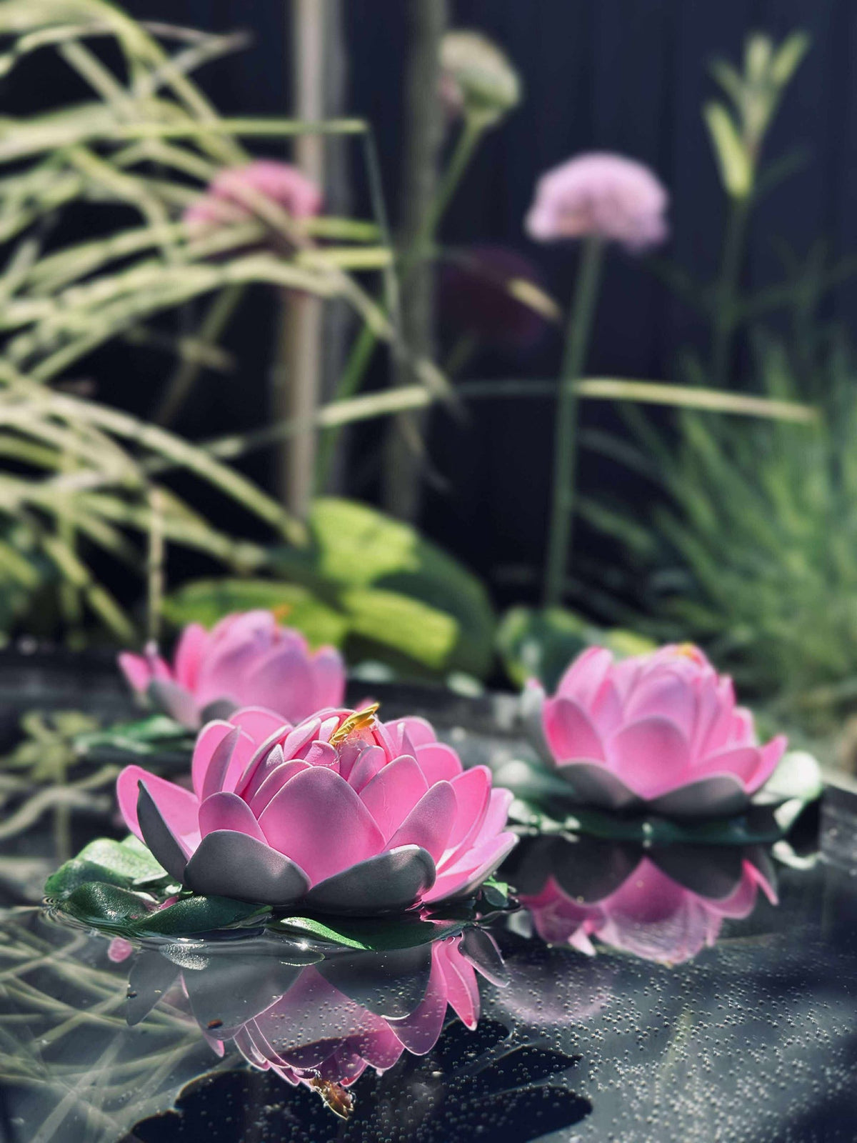 Lotus - Meerdere kleuren