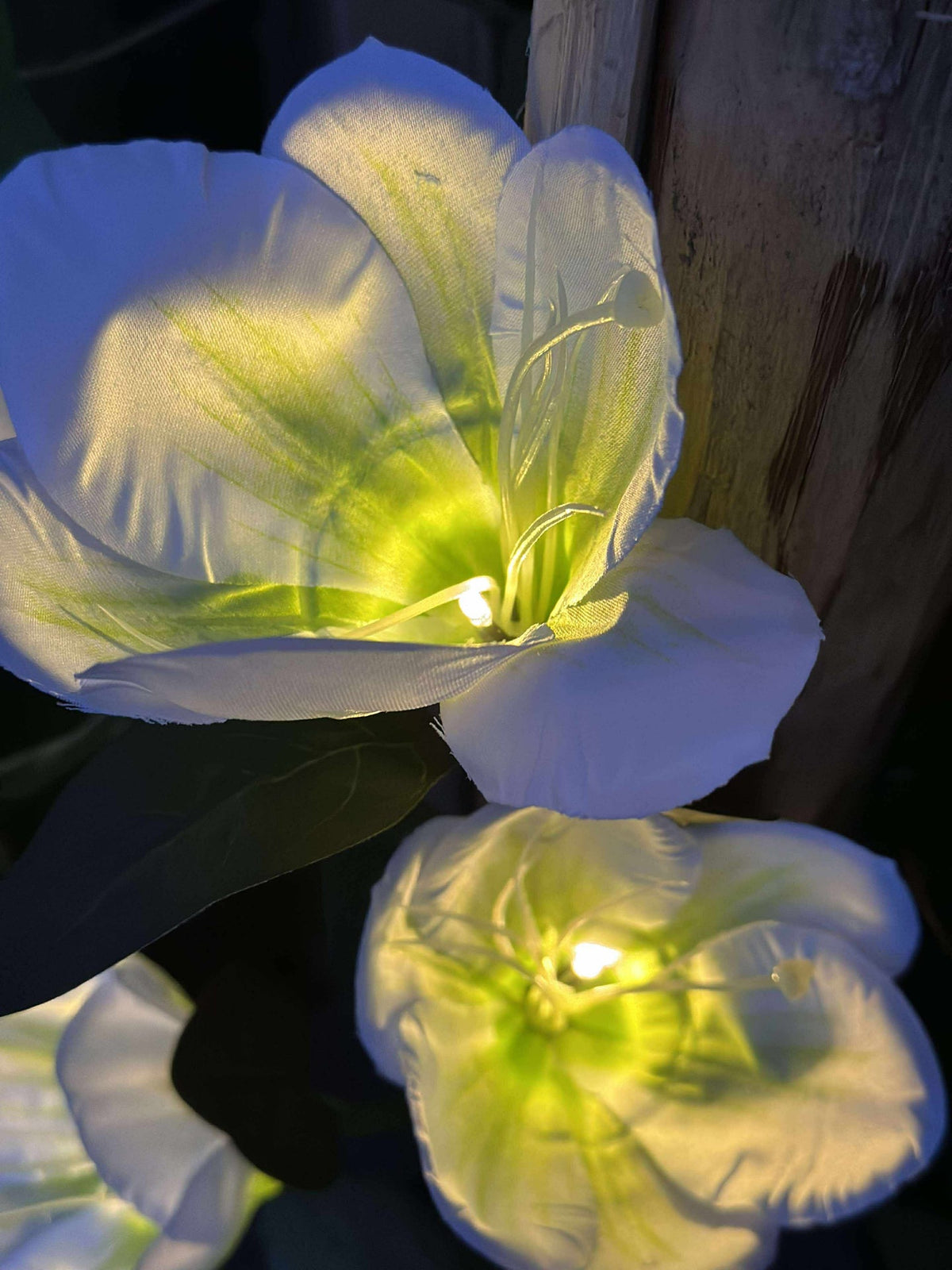Magnolia met zonnepanelen - Wit