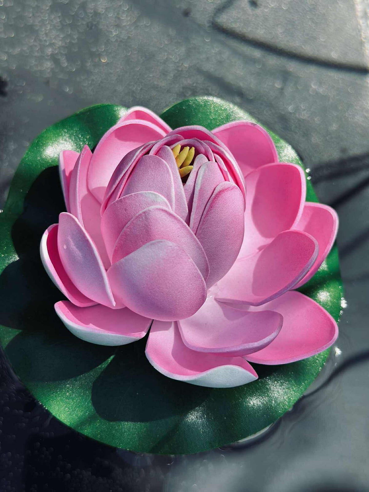 Lotus - Meerdere kleuren