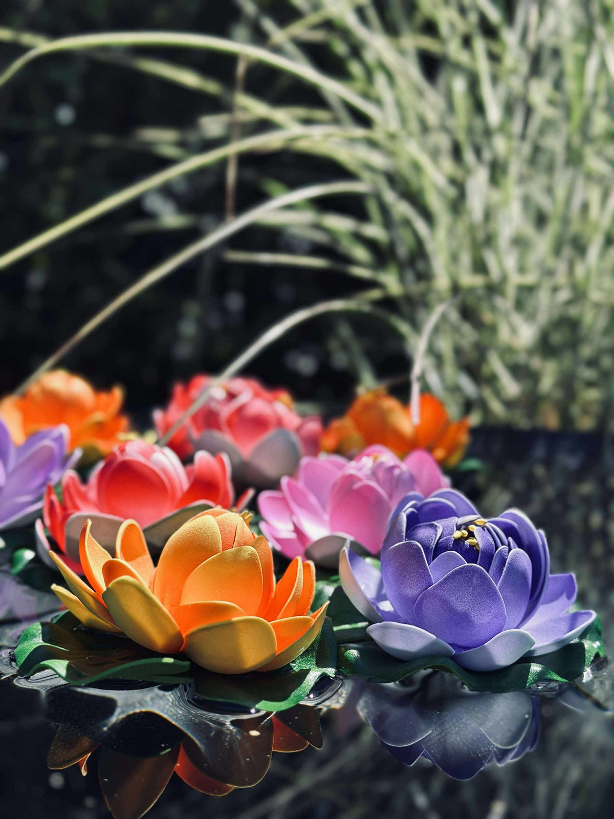 Lotus - Meerdere kleuren