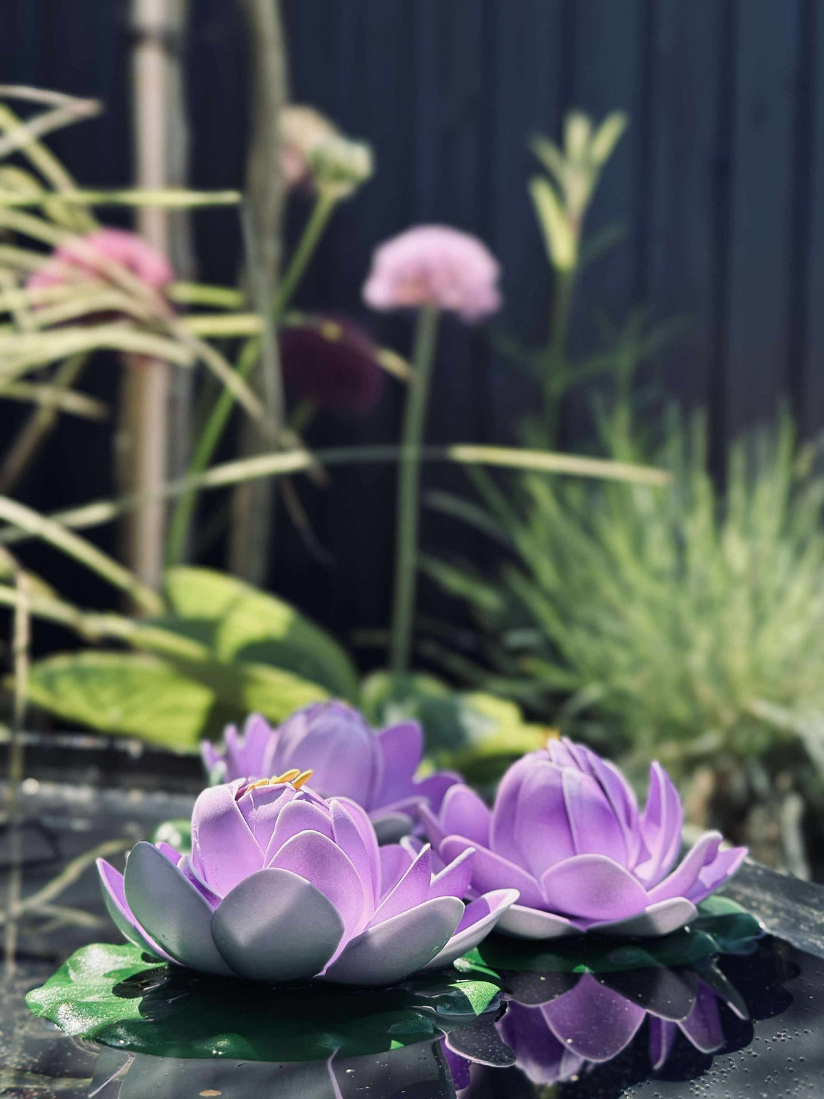 Lotus - Meerdere kleuren