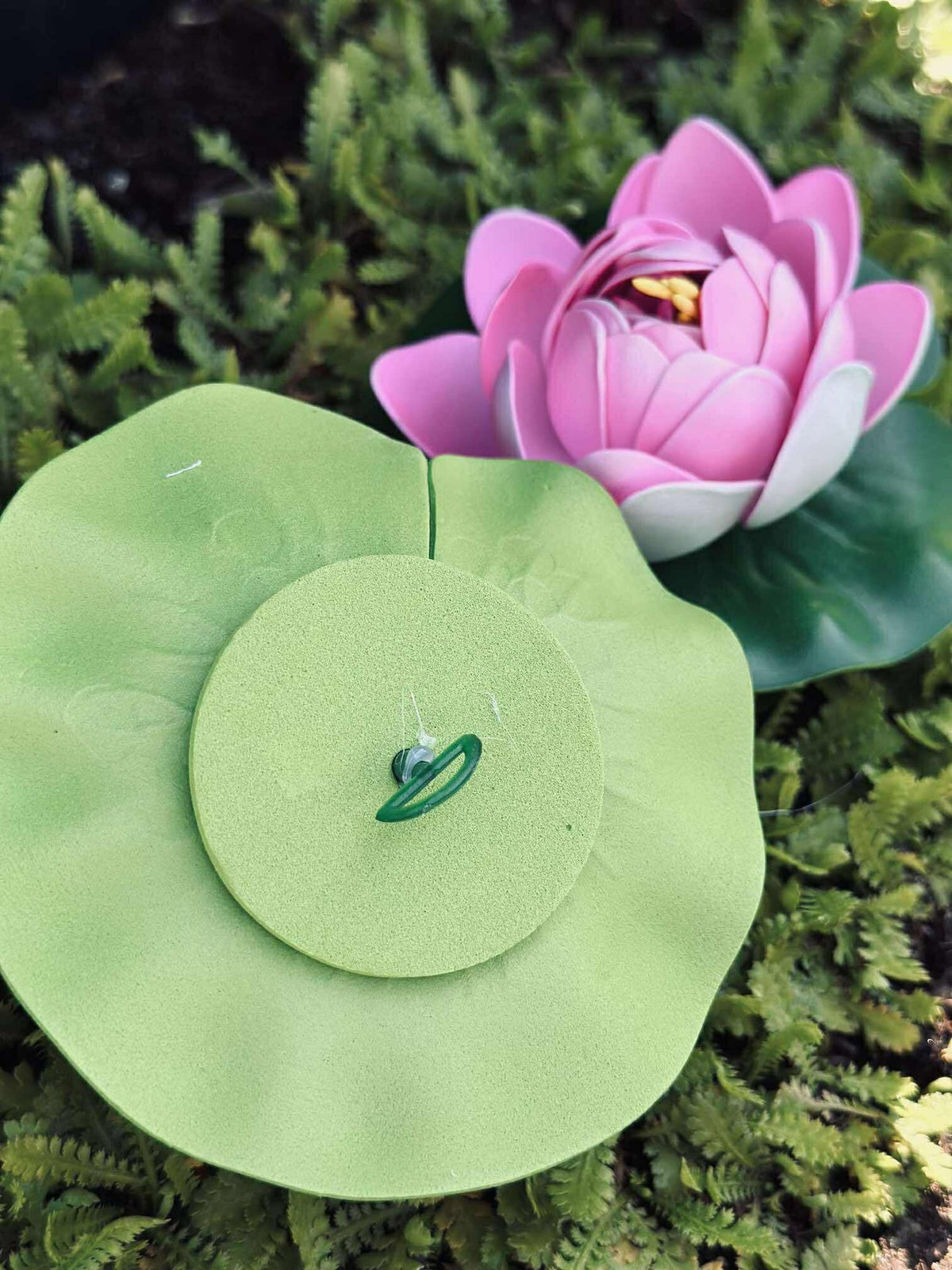 Lotus - Meerdere kleuren