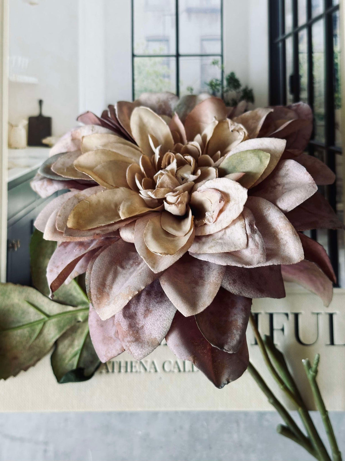 Dahlia-stengel