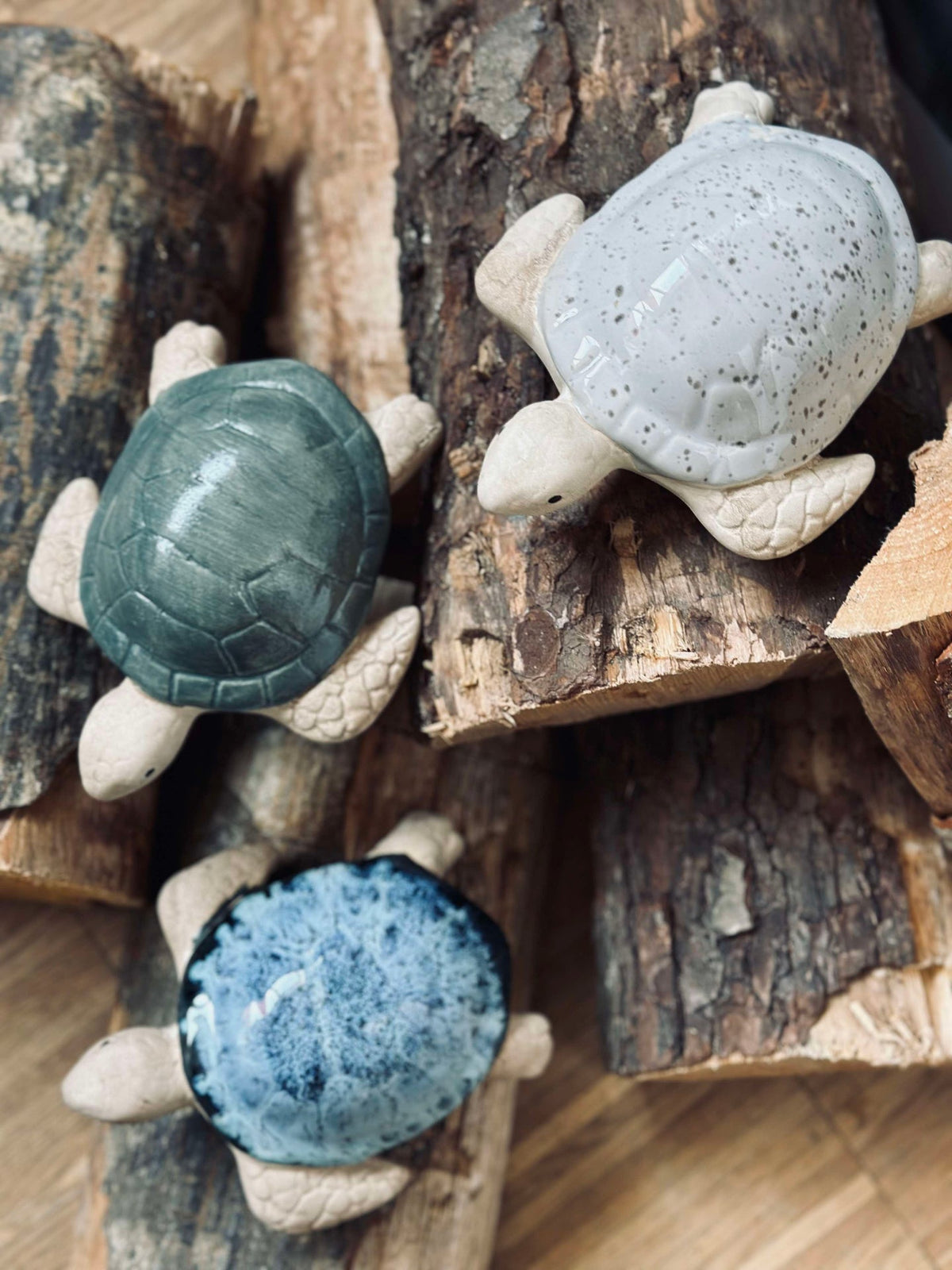Schildpad MIX