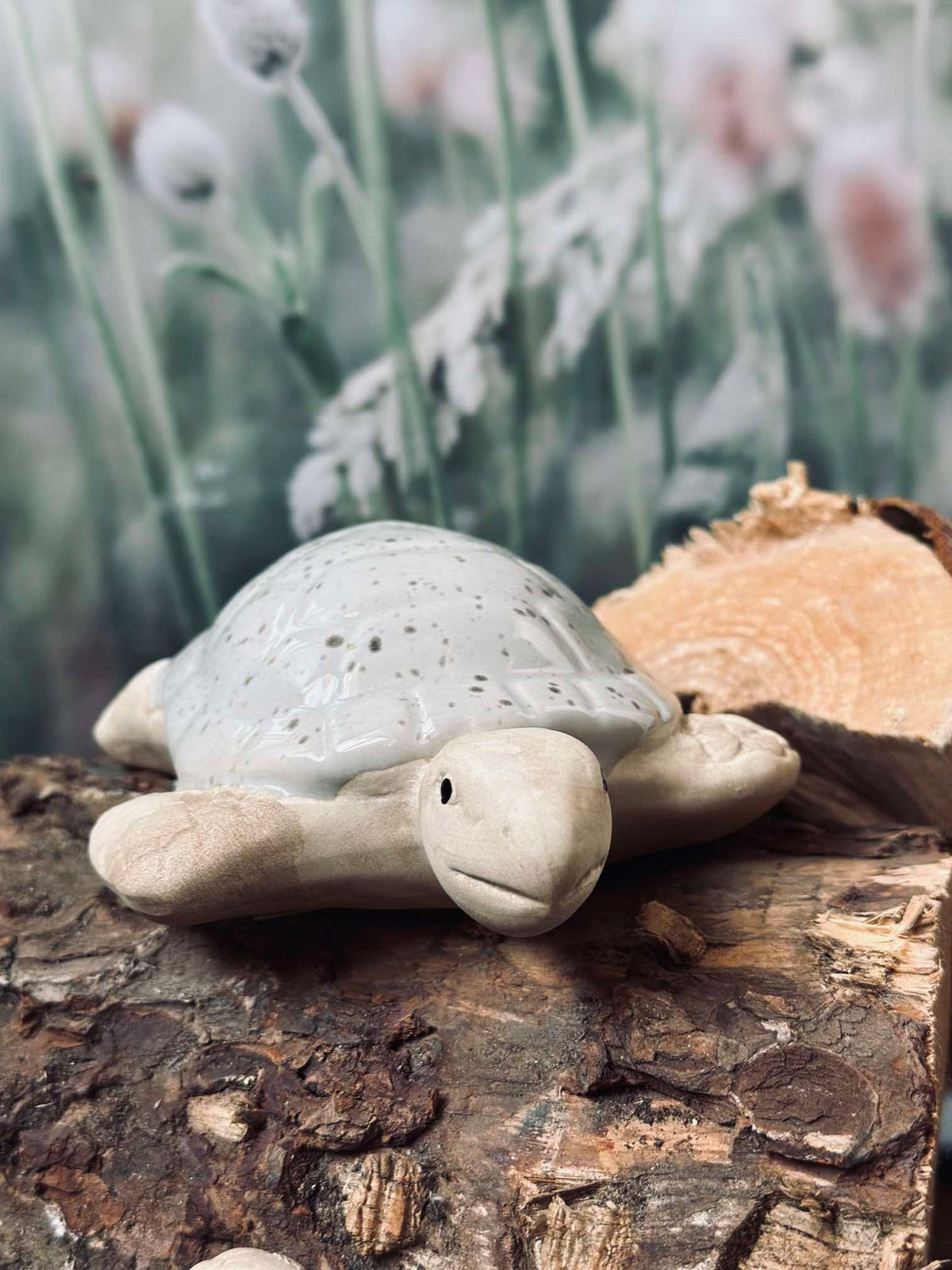 Schildpad MIX