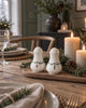 Zout- en Peperset - Kerst