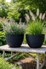 Pot met ribbels – Black medium