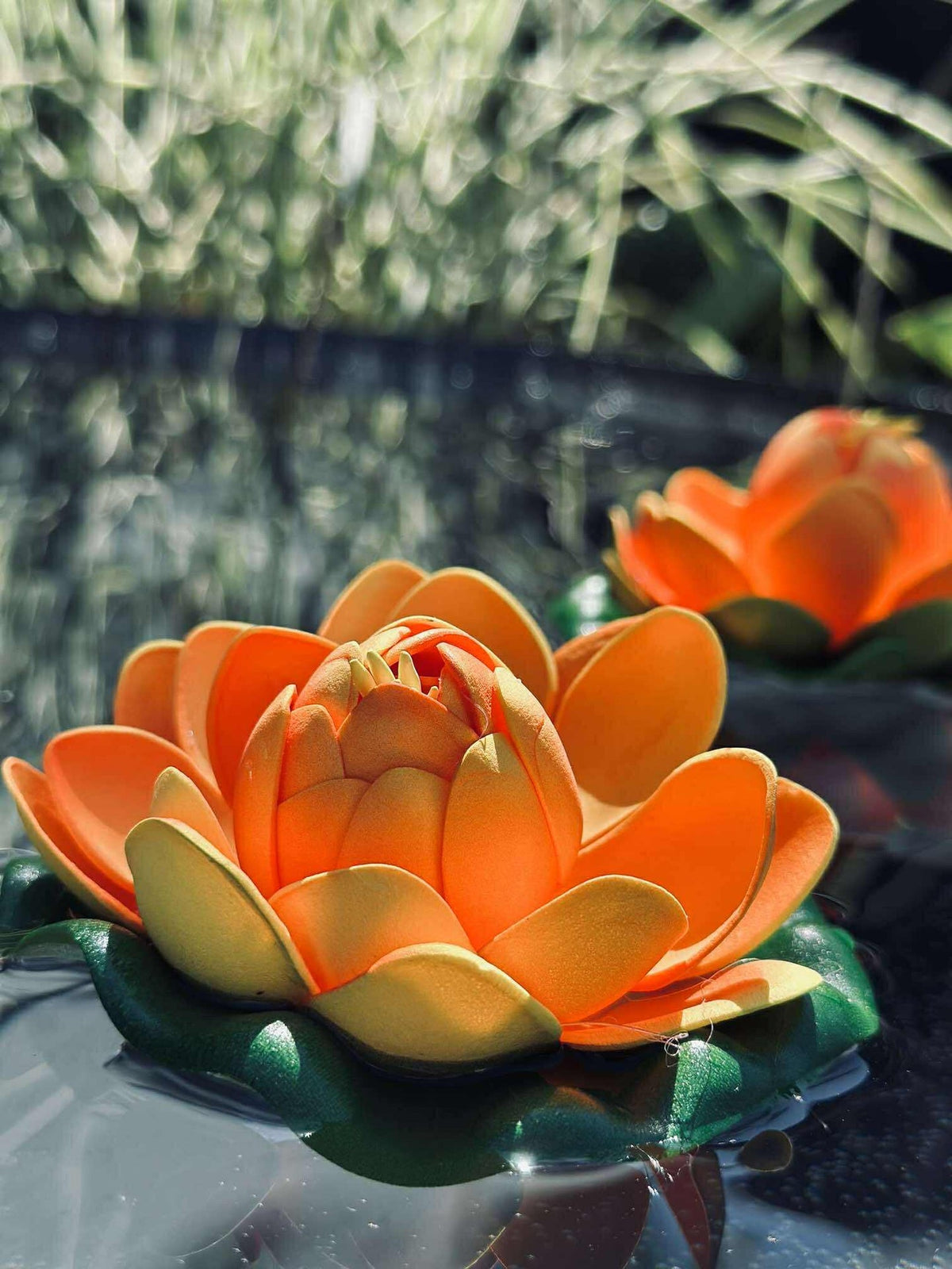 Lotus - Meerdere kleuren