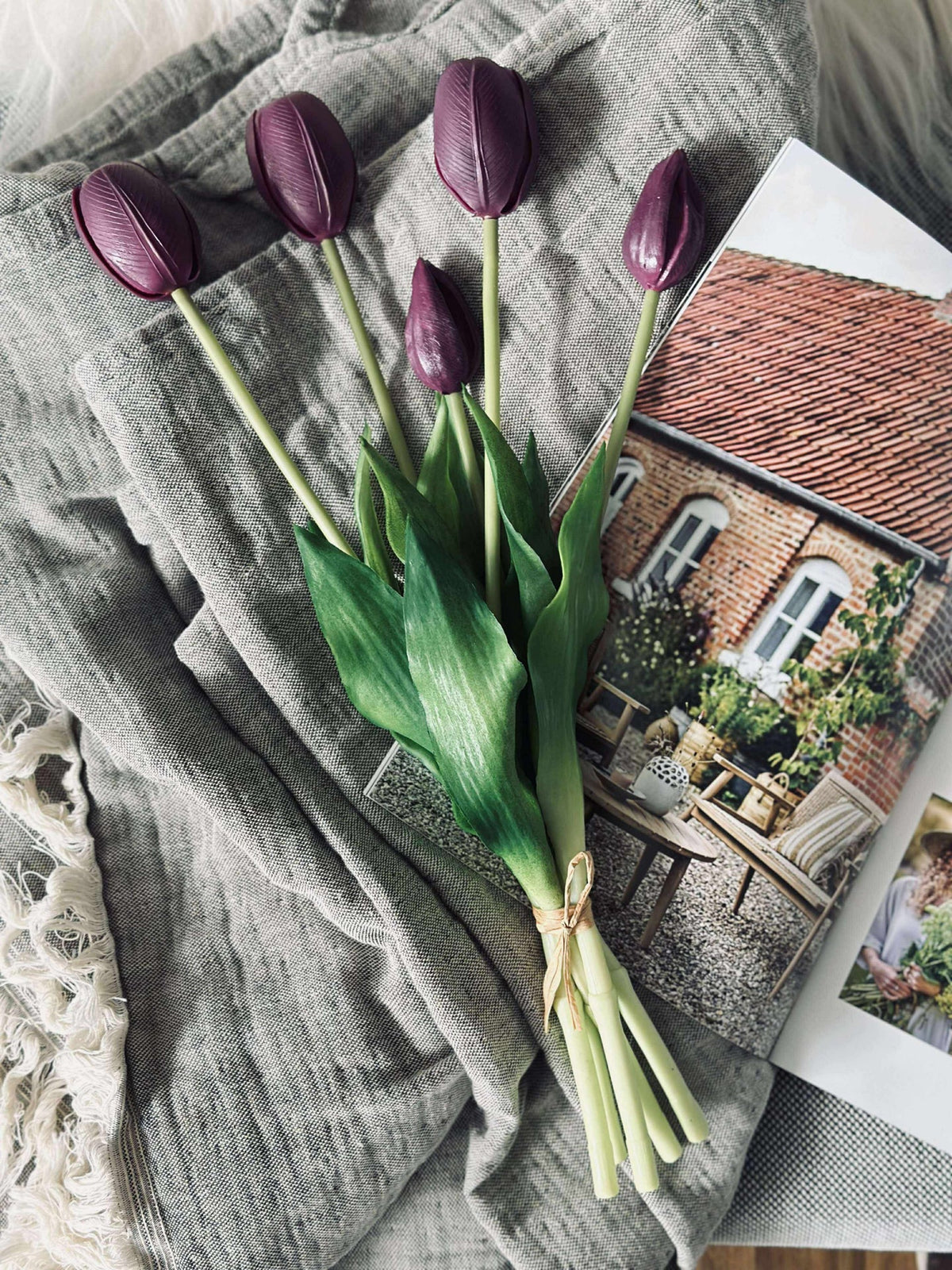 Tulpen – Meerdere kleuren