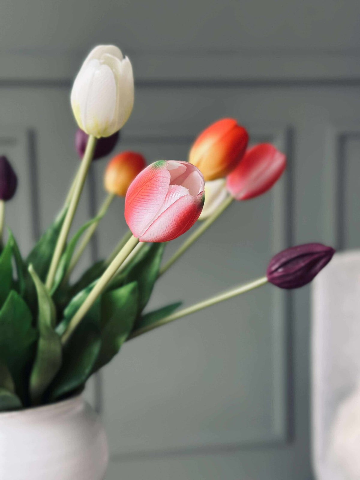Tulpen – Meerdere kleuren