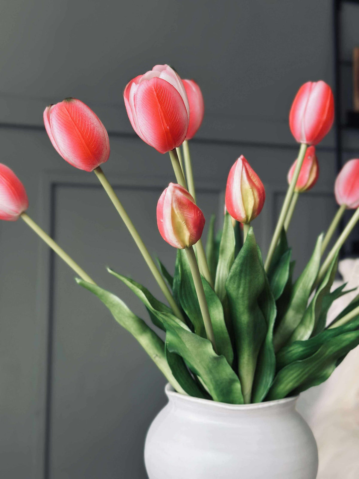 Tulpen – Meerdere kleuren