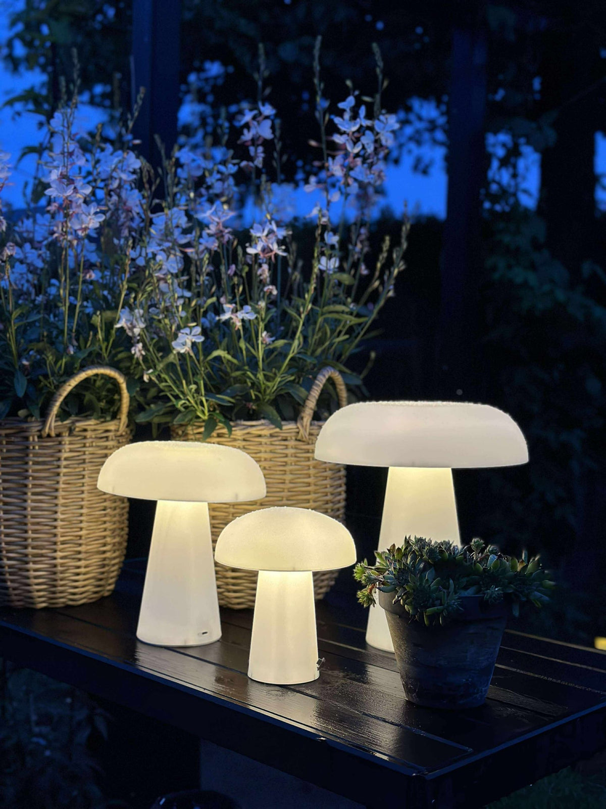 Mushroom oplaadbaar - XL