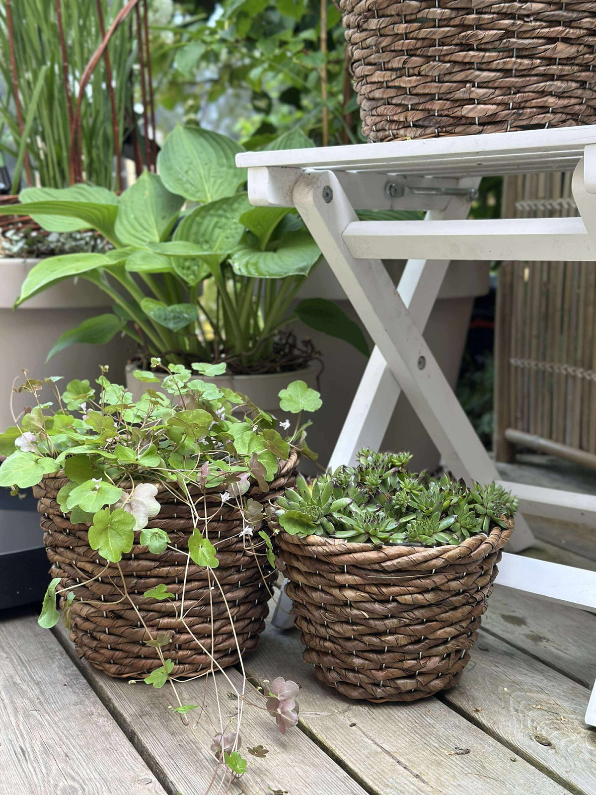 Plantenmanden - Set van 3 stuks