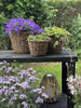 Plantenmanden - Set van 3 stuks