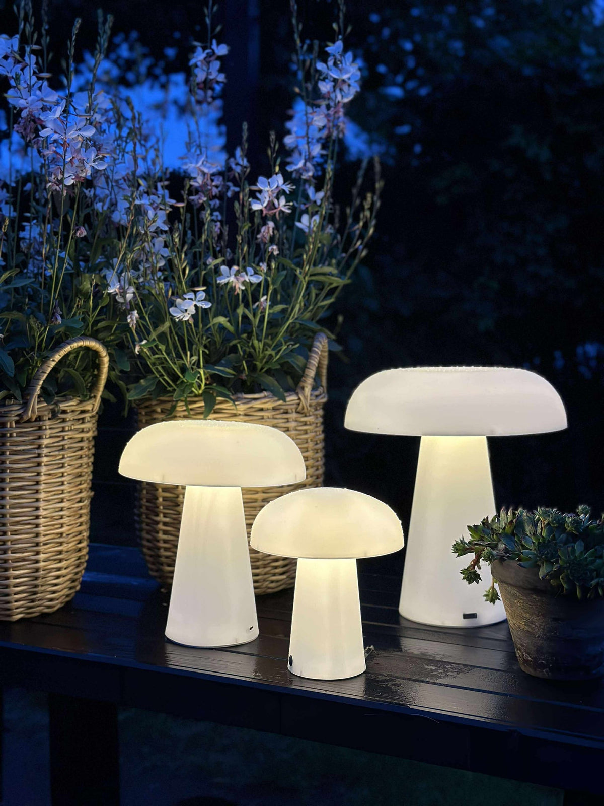 Mushroom oplaadbaar - Small