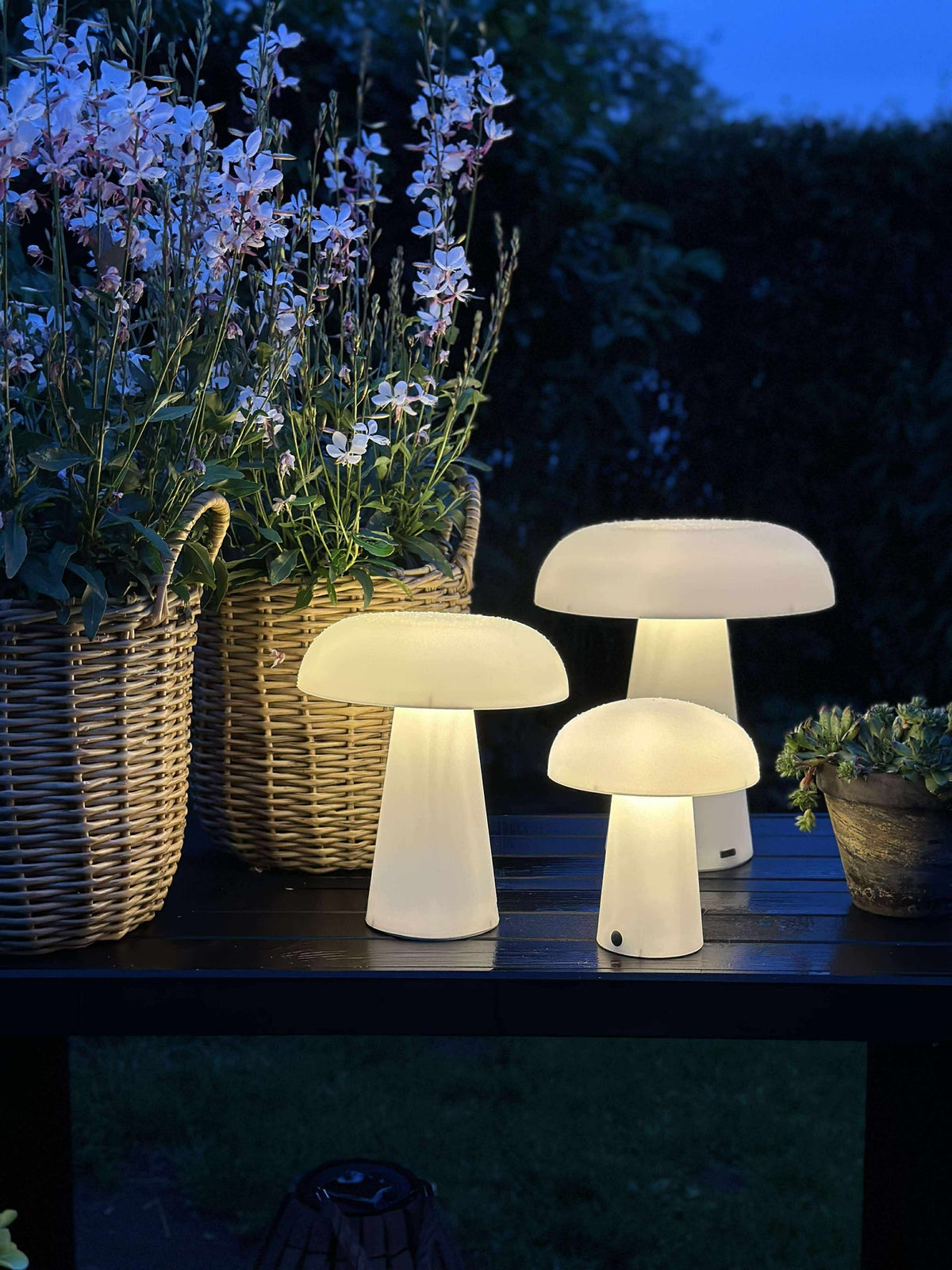 Mushroom oplaadbaar - Small