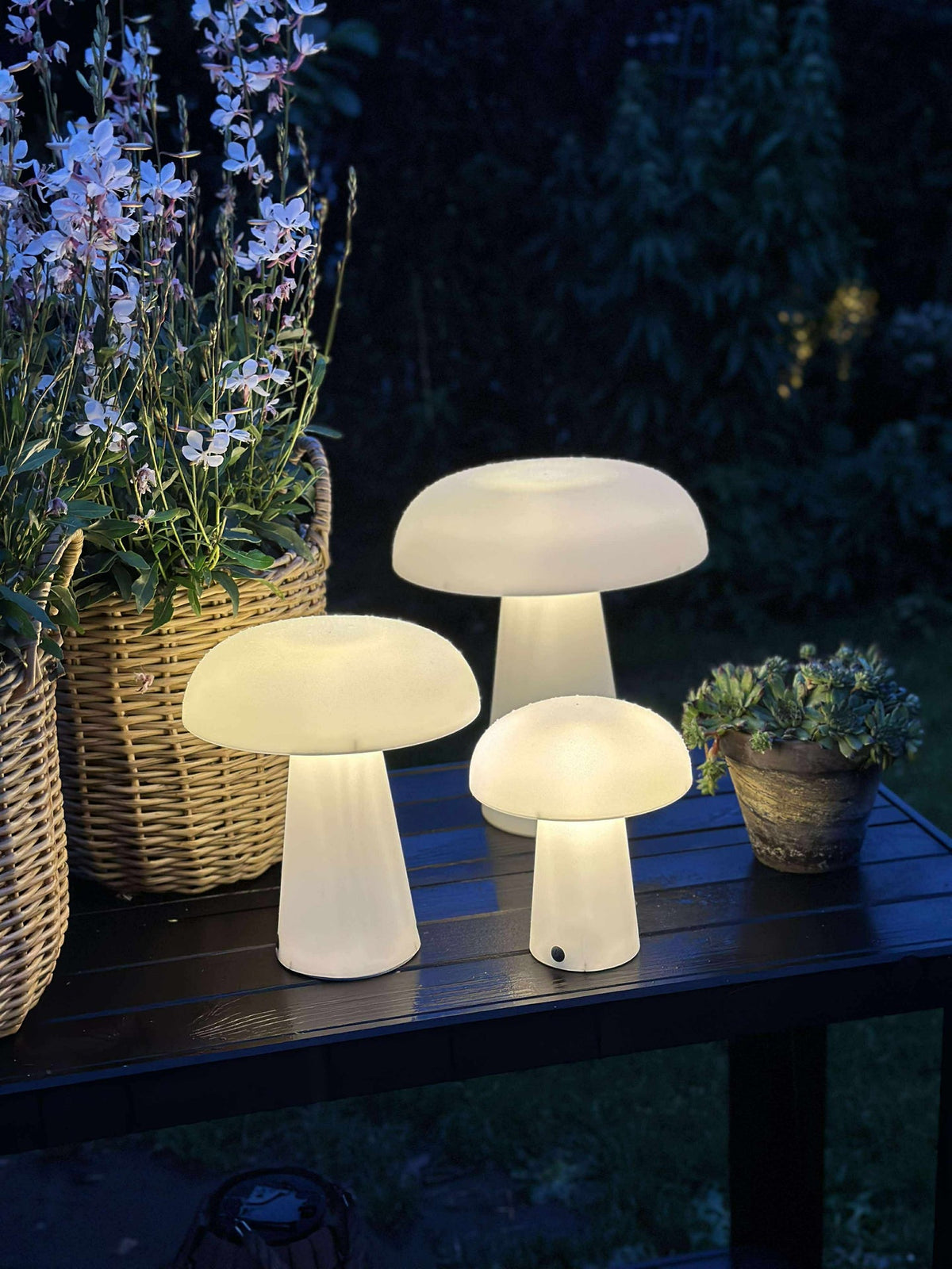 Mushroom oplaadbaar - XL