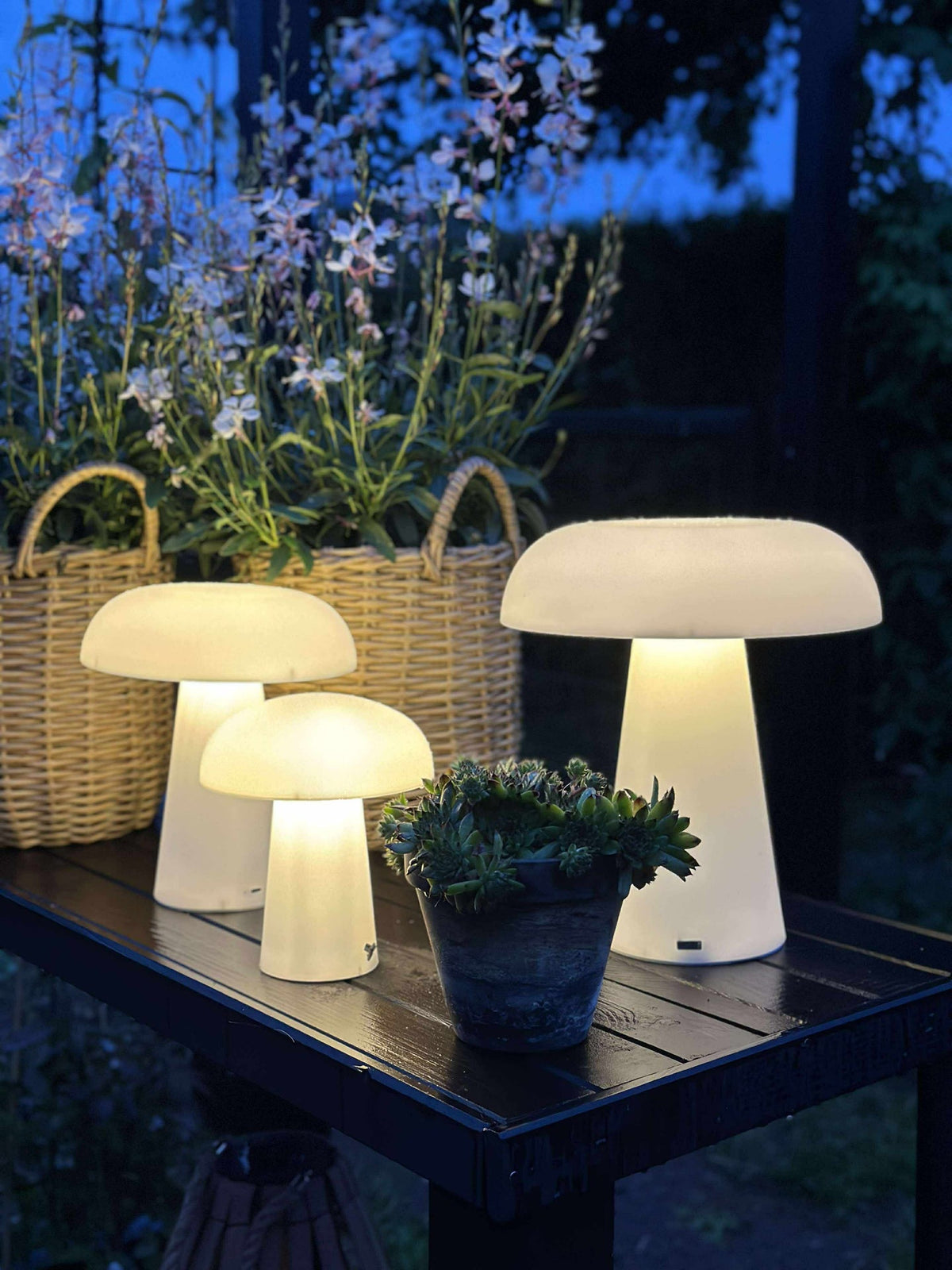 Mushroom oplaadbaar - Small