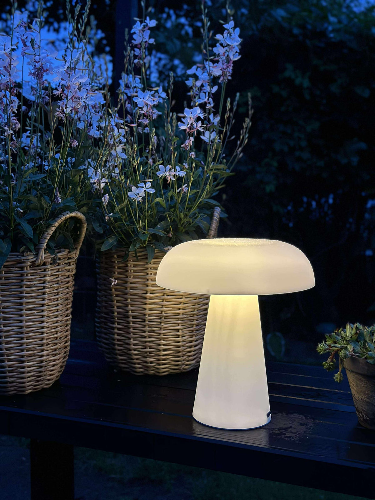 Mushroom oplaadbaar - XL